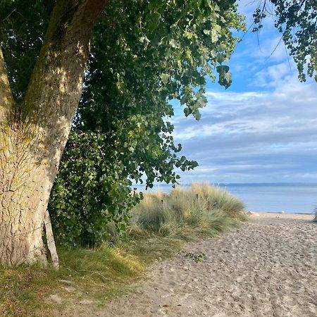 Feriendorf Suedstrand Haus 04 Pelzerhaken Eksteriør bilde