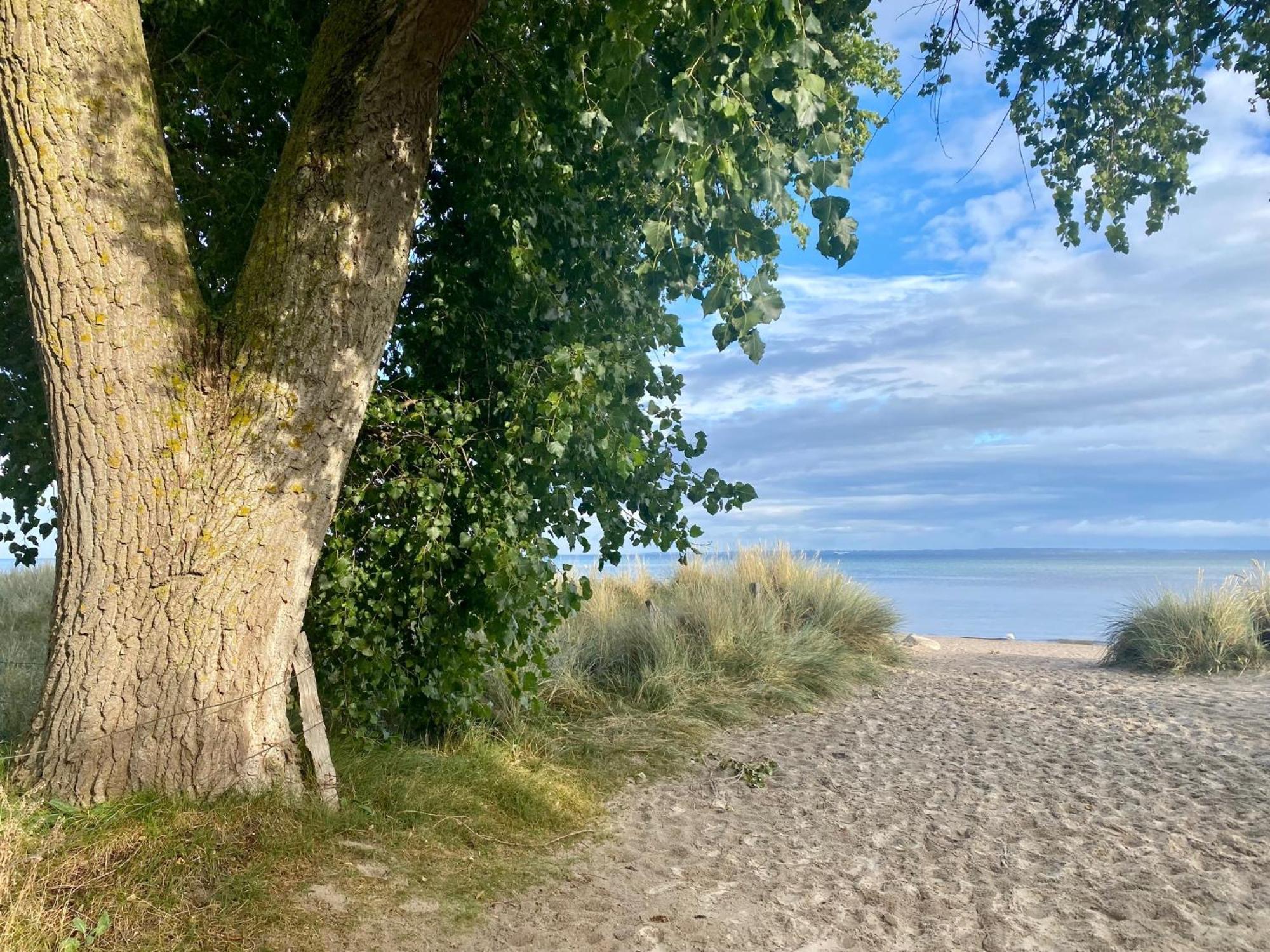 Feriendorf Suedstrand Haus 04 Pelzerhaken Eksteriør bilde